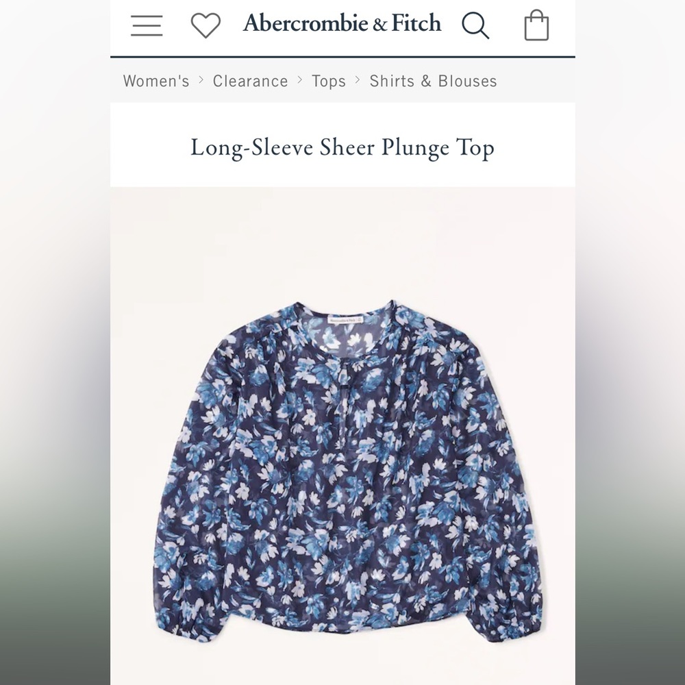 Abercrombie & Fitch Sheer Long Sleeve Top